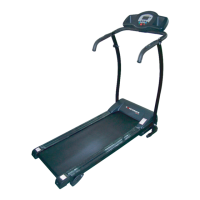 Preview: Confidence Fitness GTR