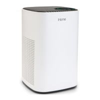 Preview: iHome iWAP260