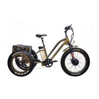 Preview: FAT TRIKE