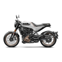 Preview: Husqvarna Vitpilen 401 EU 2022