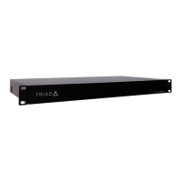 Preview: Triad TS-AMS8V2