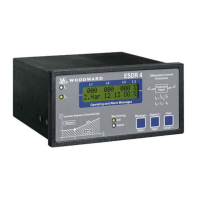 Preview: Woodward ESDR 4
