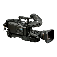 Preview: Ikegami HDK-73