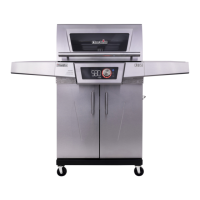 Preview: Char-Broil CRUISE 463258622