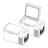 Preview: dellonda DL12