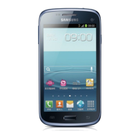 Preview: Samsung GT-I8268