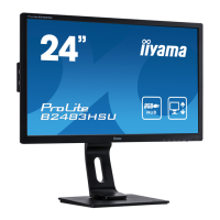 Preview: Iiyama ProLite B2483HSU