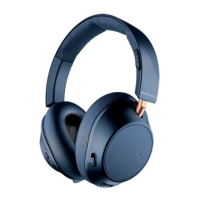 Preview: Plantronics BG810S