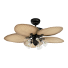 Fan Logo