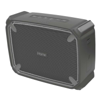 Preview: iHome iBT520