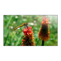 Preview: Philips Signage Solutions BDL5588XC
