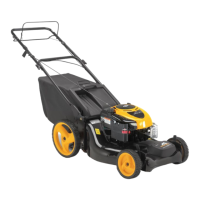 Preview: McCulloch M53-625DW