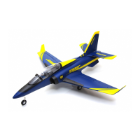 Preview: FMS RocHobby Super Viper 70MM