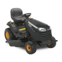 Preview: McCulloch M200-117T