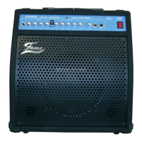 Preview: FAME T60R