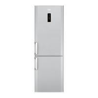 Preview: Beko CN236220X