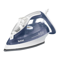 Preview: TEFAL Supergliss FV3840L0