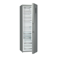 Preview: Gorenje R6192SX