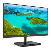 Preview: Philips E line 275E1
