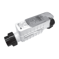 Preview: IntelliChlor IC60