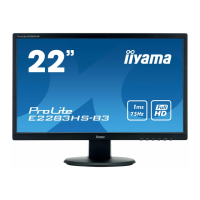 Preview: Iiyama ProLite E2283HS-B3