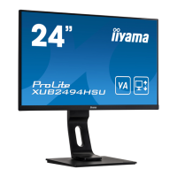 Preview: Iiyama ProLite XUB2294HSU