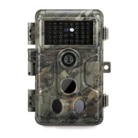 Preview: BlazeVideo A323