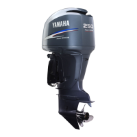 Preview: Yamaha LF225