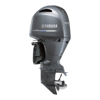Preview: Yamaha F175