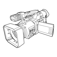 Preview: Panasonic AG-DVX100B