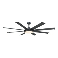 Preview: Parrot Uncle F6105110V