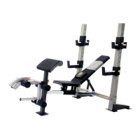 Preview: Gold's Gym Pro GB 2000 Series