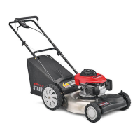 Preview: MTD V55D