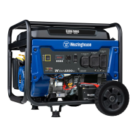 Preview: Westinghouse WGen5300sc