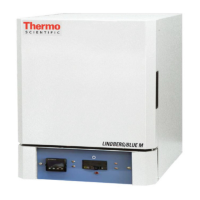Preview: Thermo Scientific BF51728