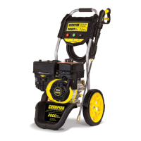 Preview: Champion Power Equipment 100382
