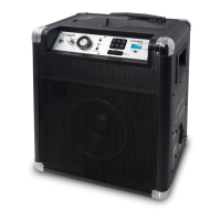 Preview: ION Explorer Bluetooth 2014