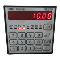Preview: Baumer NE215