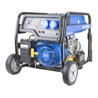 Preview: Hyundai HY3800LE-LPG
