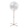Fan Logo