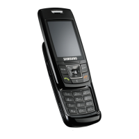 Preview: Samsung SGH-E250