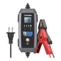 Preview: Topdon TB8000