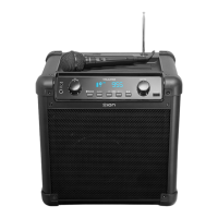 Preview: ION Tailgater iPA77
