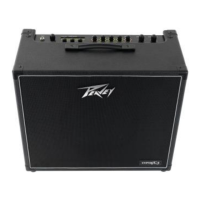 Preview: FACEMI PEAVEY VYPYR X3