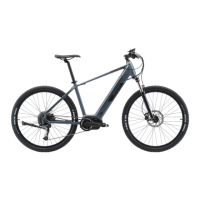 Preview: Reid E Trail 2.0