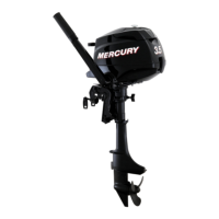 Preview: Mercury FourStroke 2.5