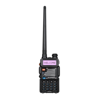 Preview: Baofeng BF-F8TD