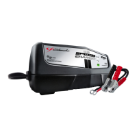 Preview: Schumacher SpeedCharge XM1-5