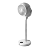 Fan Logo