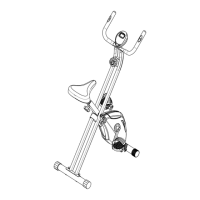 Preview: Striale Ixo Sport IXO-312
